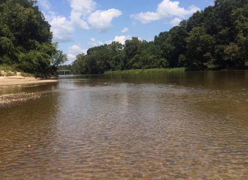 Bogue Chitto State Park, Louisiana, USA